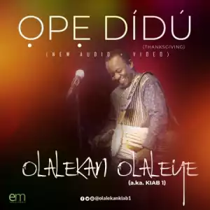 Olaleye Olalekan - Ope Didu